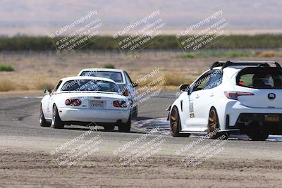 media/Oct-04-2025-OnGrid (Sat) [[44bd565ffa]]/Purple Group/Grapevine/